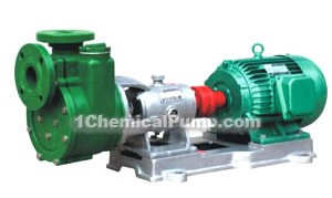 FV PVDF pumps